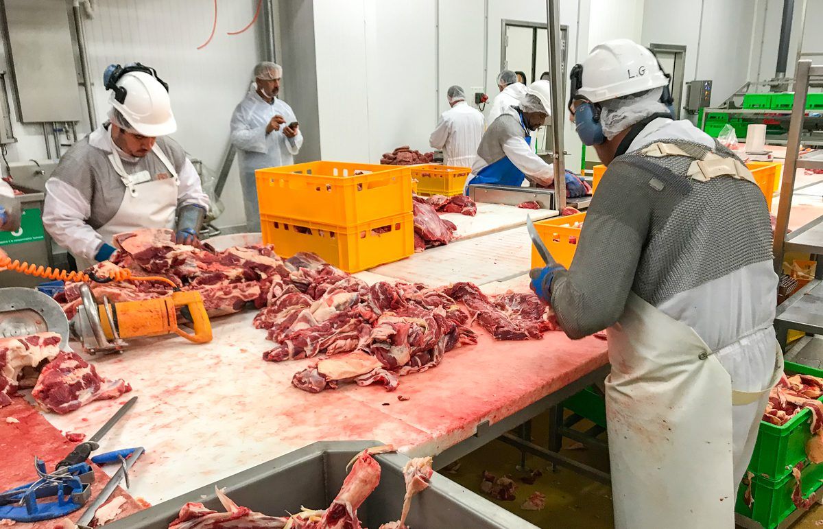 Beef trade: Prime quotes unchanged and cows still under pressure