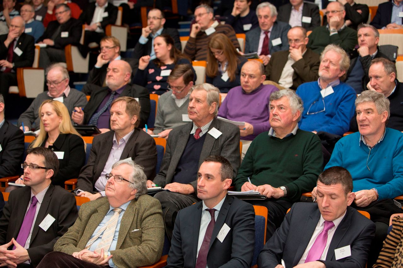 More insights into Ireland's new RDP