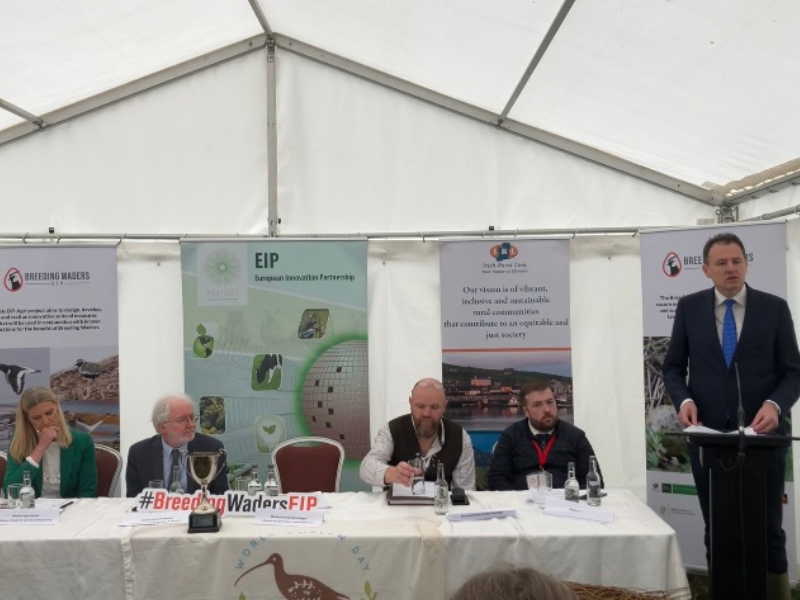 Watch: Minister outlines payment rates for breeding waders project