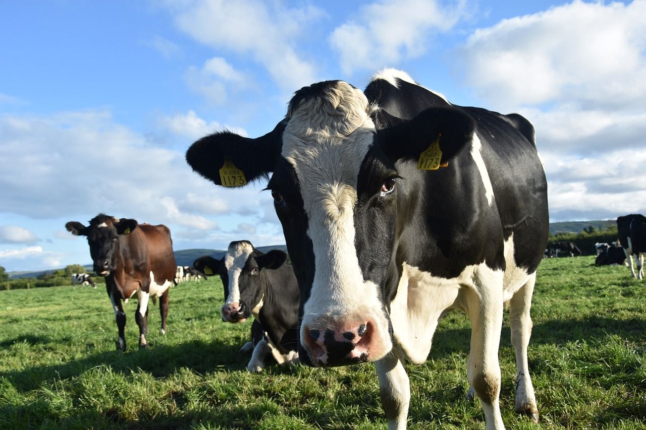Inflation has 'eroded value' of TB related payments - ICSA