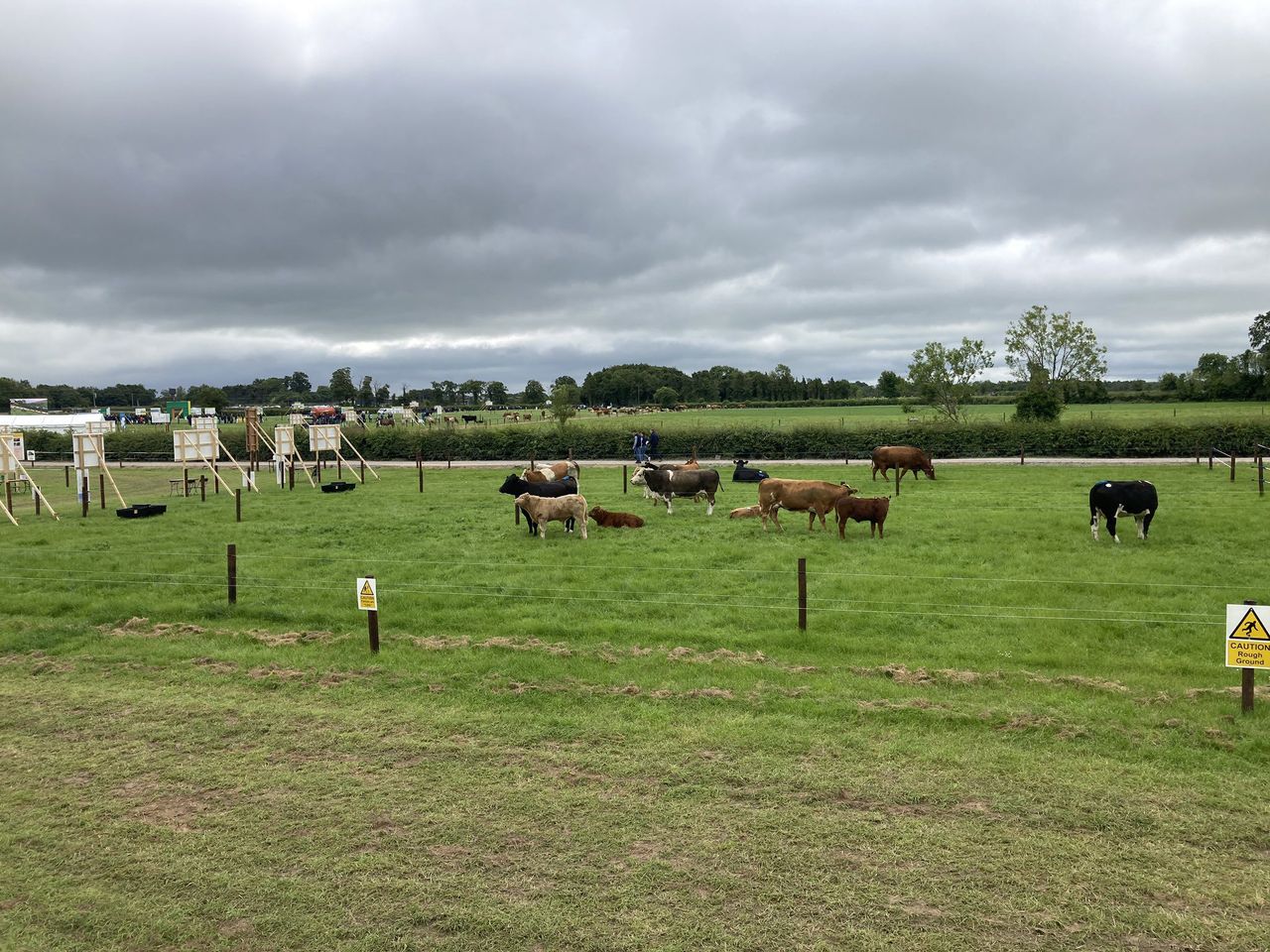 BEEF2022: Sustainable beef farming theme at Grange