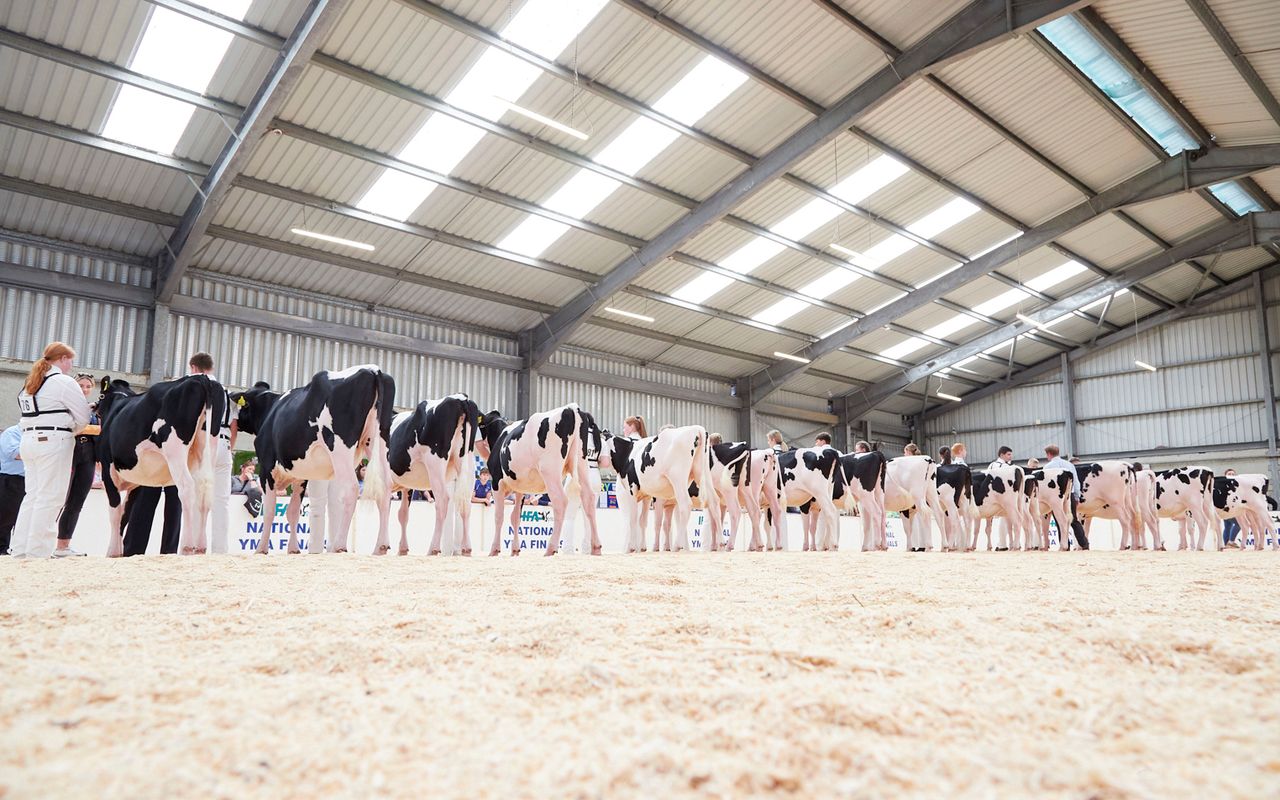 Cork handler takes IHFA YMA title at Cillin Hill