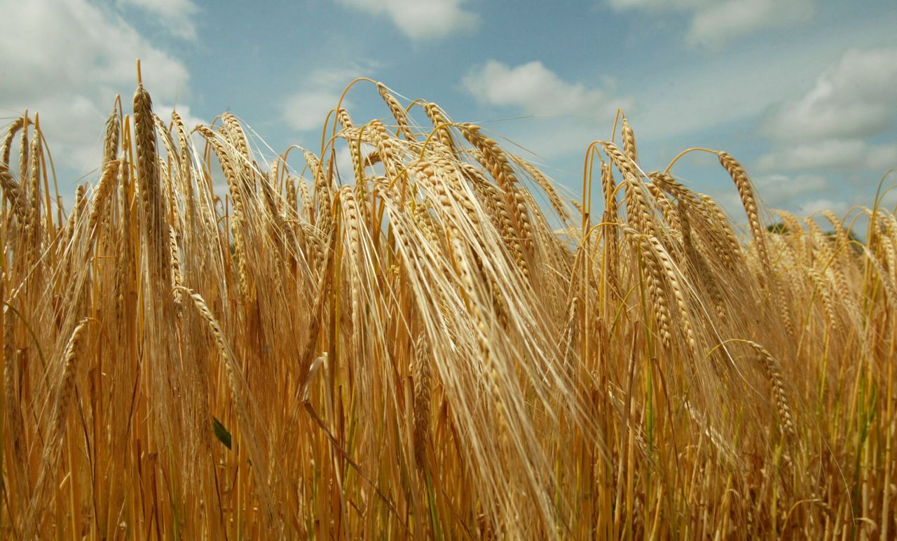 14 nationwide CAP reform meetings announced by Department of Agriculture