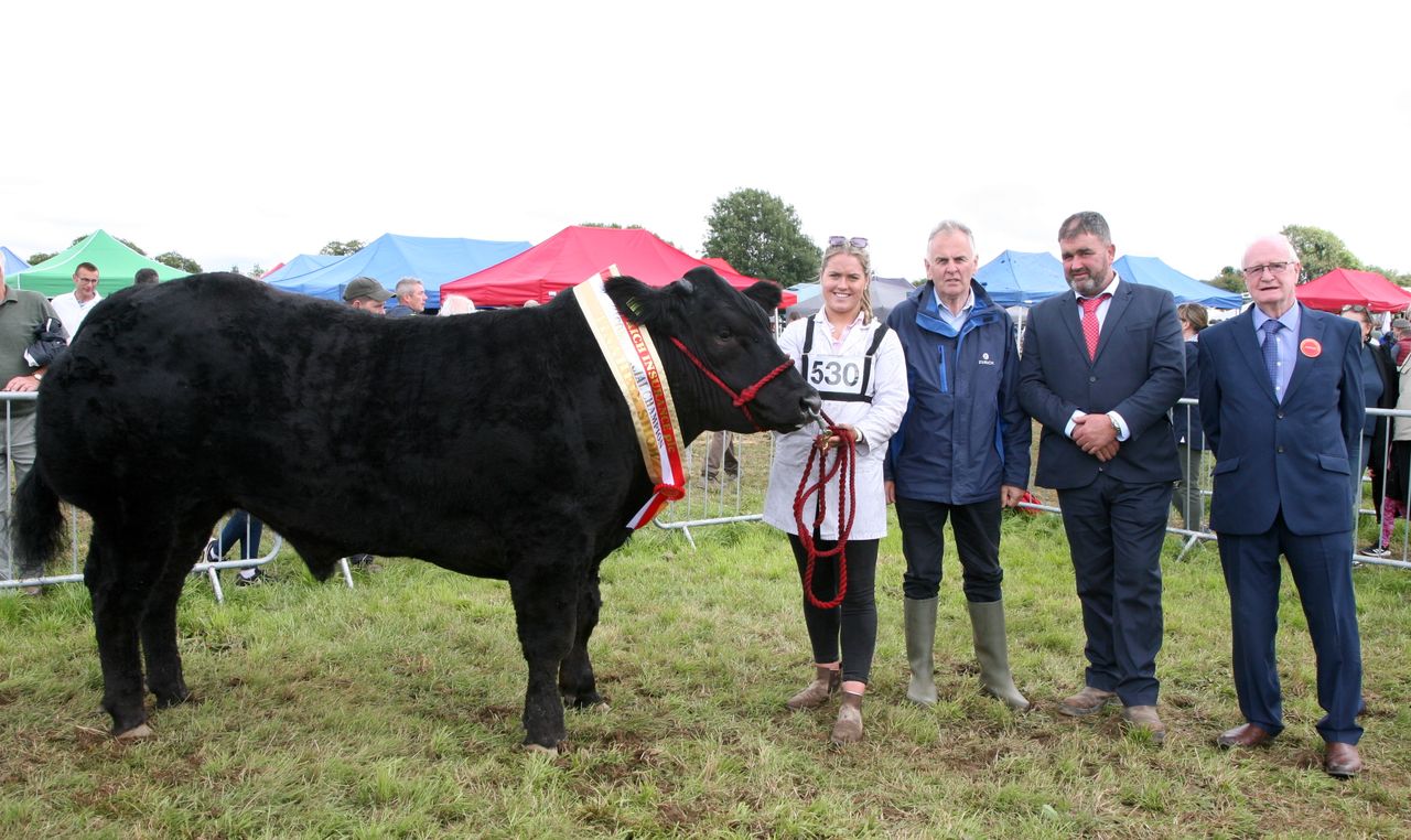'Unbelievable numbers' attend Tinahely Show