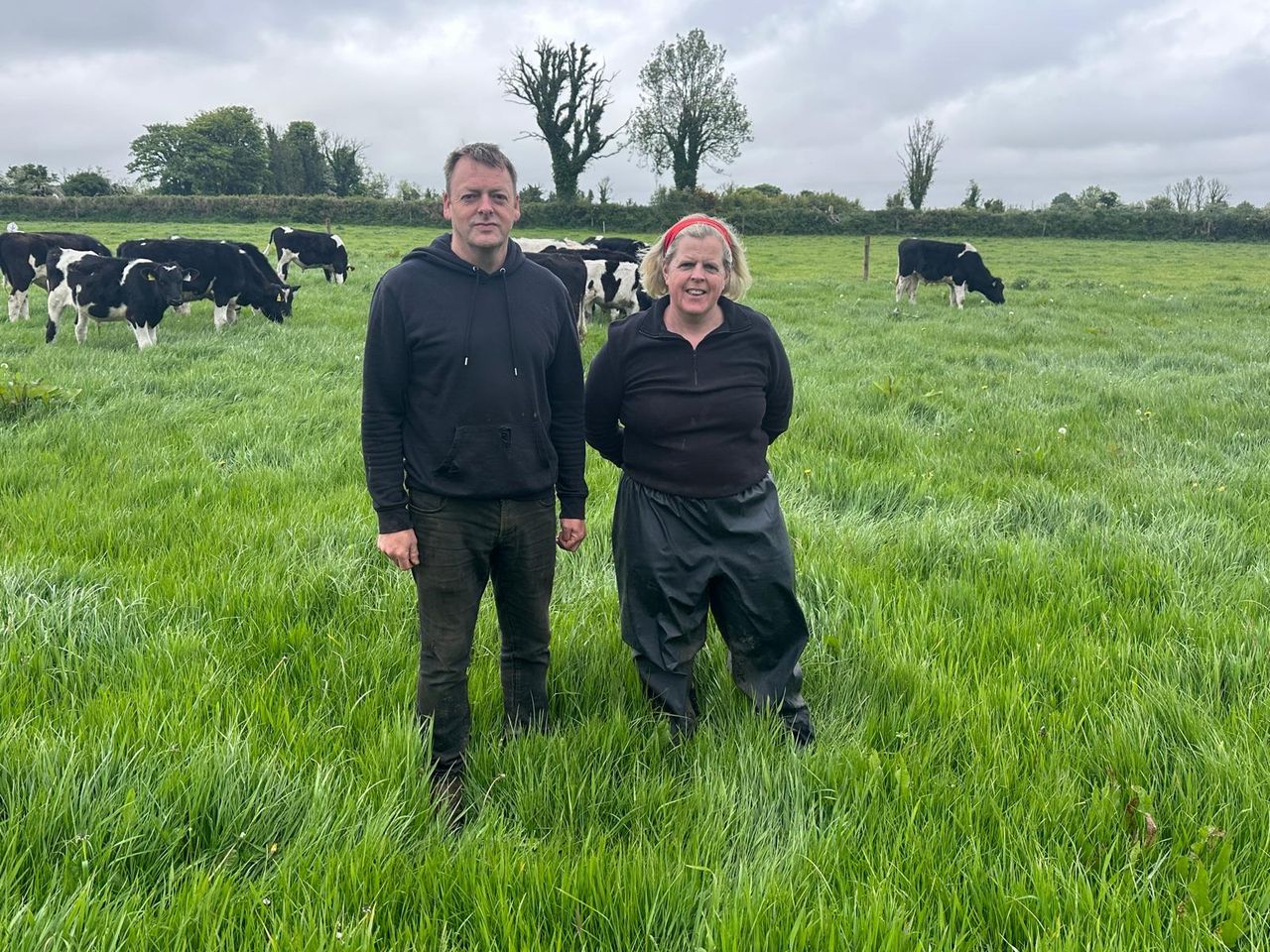 Progressive Galway calf-to-beef system to host national farm walk