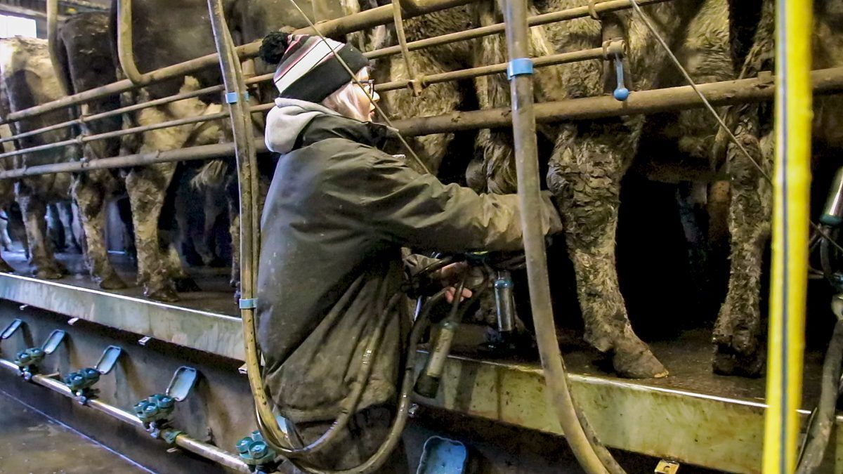 Pressure: 'We need to look after our farmers' welfare'