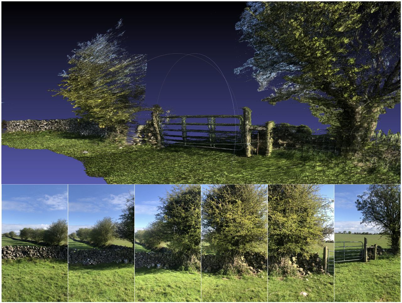Farmeye links up with space agency to gauge carbon value of hedgerows