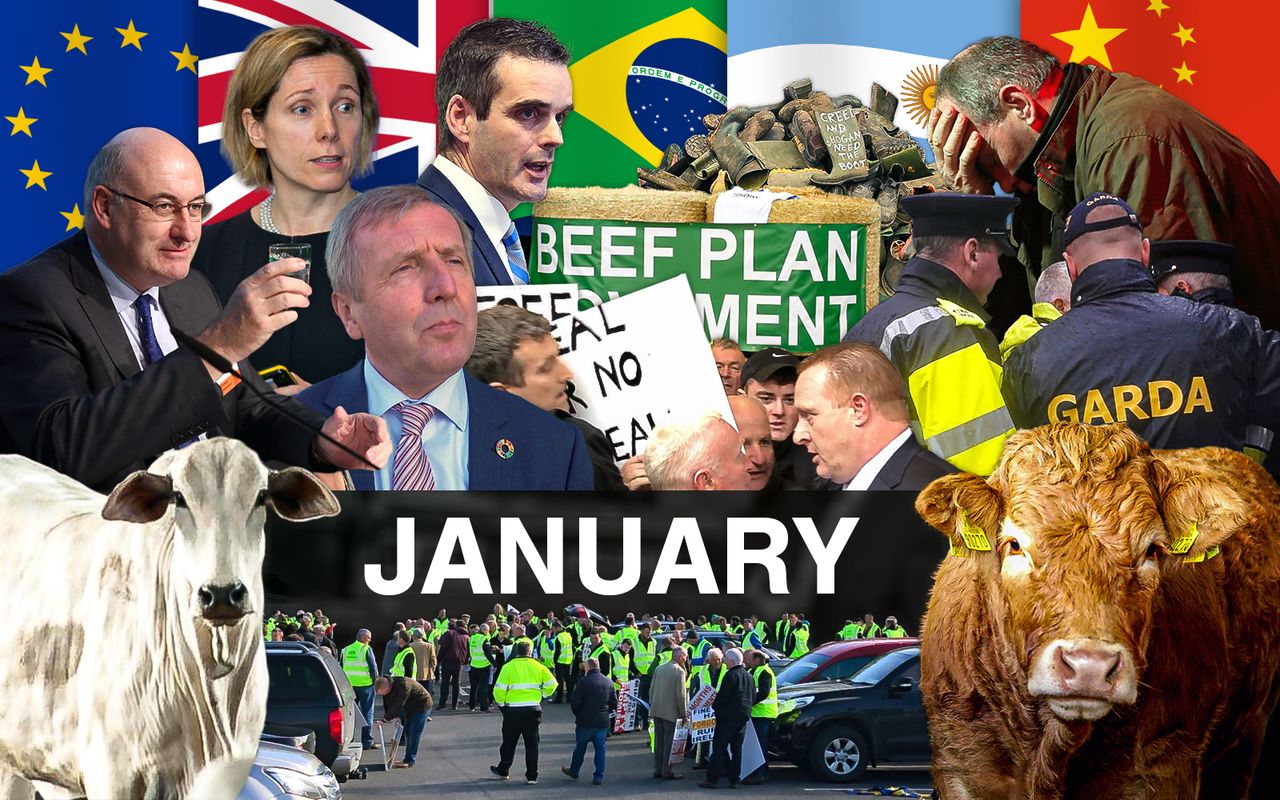 Beef Industry Review: January