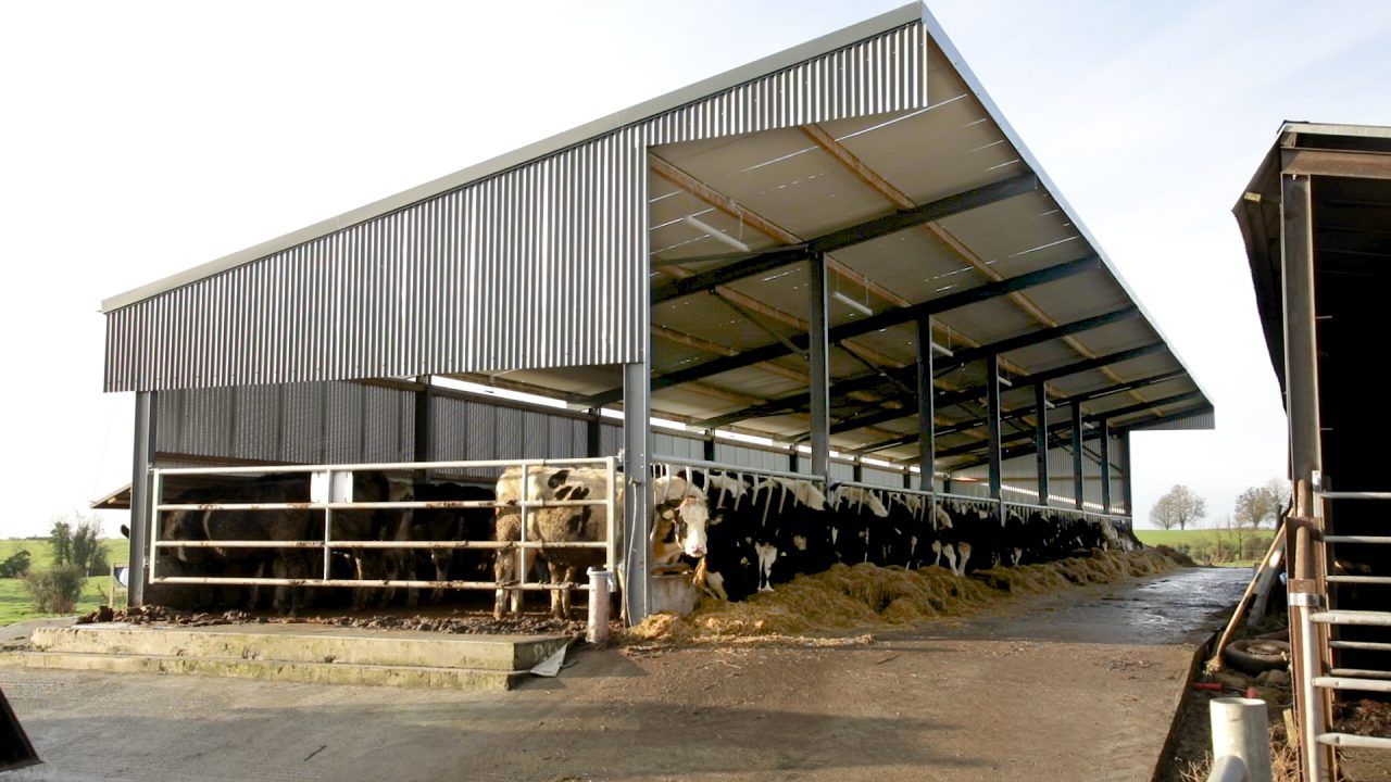 Winter Beef series: Targets for winter weight gain in cattle