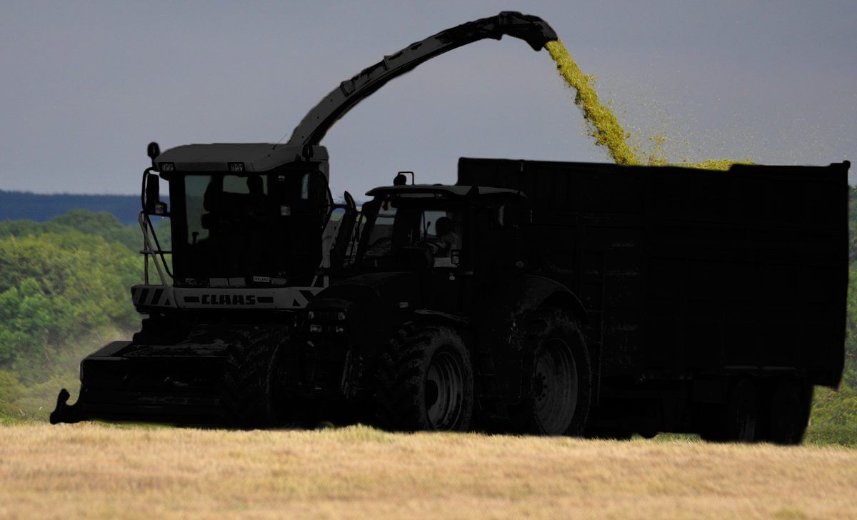 Major contracting machinery auction looms large