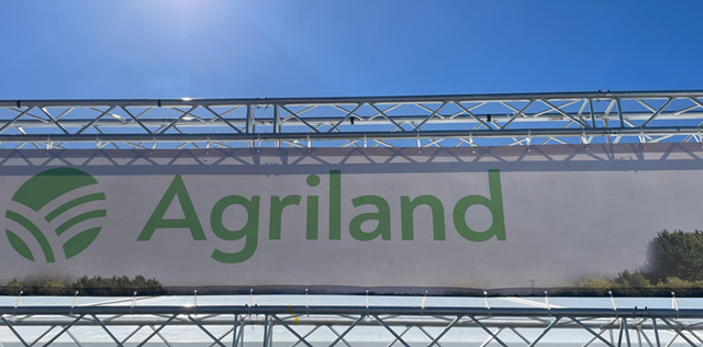 Ploughing 2024: What not to miss with Agriland live at the ...