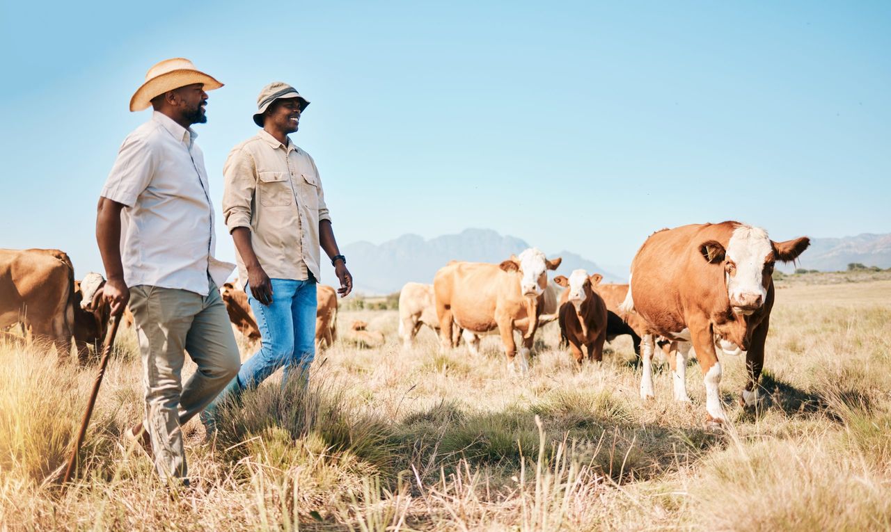 South Africa’s dairy industry 'likely to grow' in the future - report