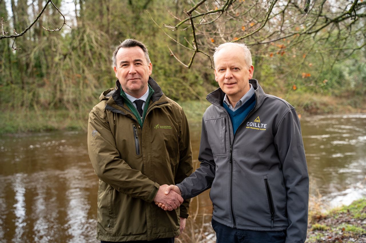 Coillte and IFI sign Memorandum of Understanding