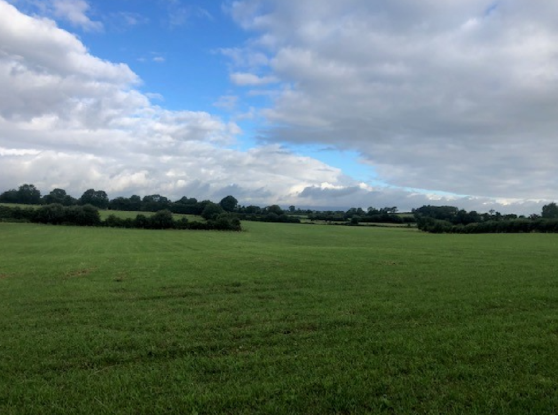 Mixed reactions to potential for Ireland to retain nitrates derogation