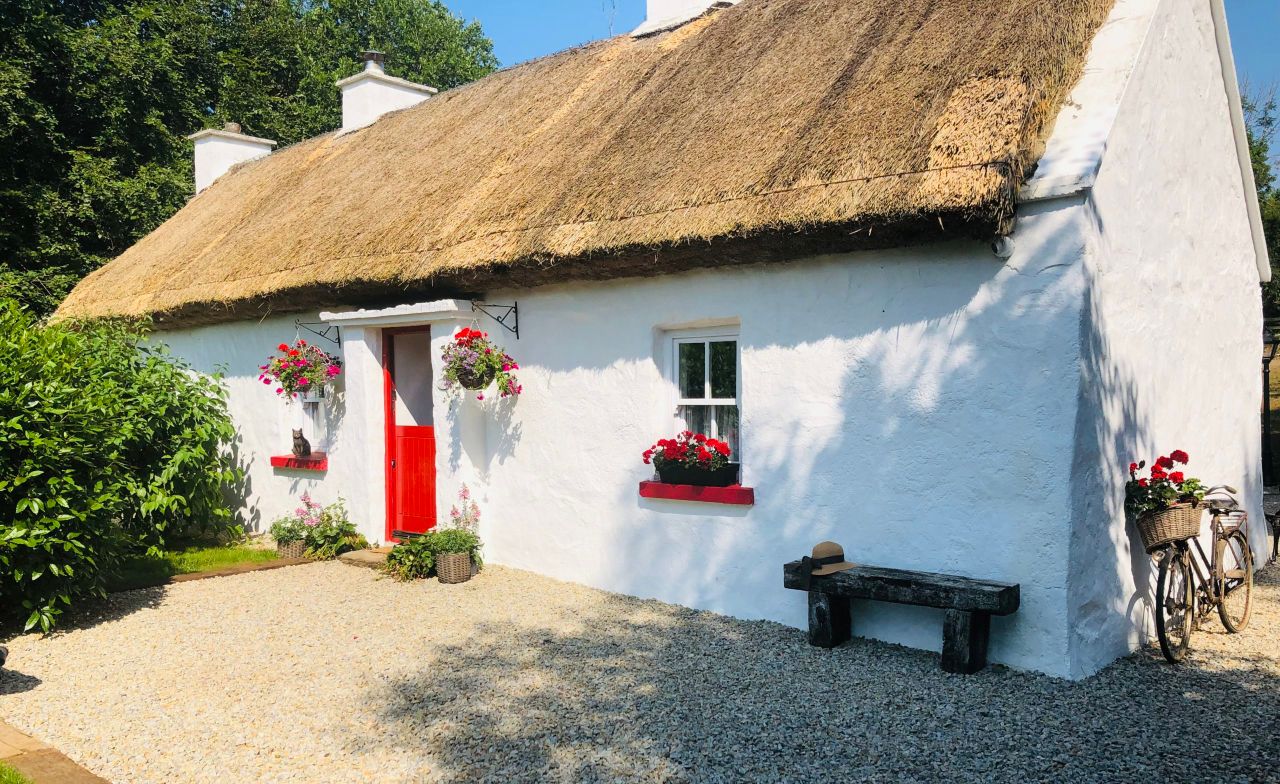 Thatched cottage restoration was family's lockdown project