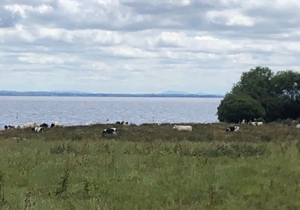 Farmers' concerns prompt extension to consultation in NI on NAP