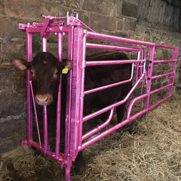 Fancy winning a pink calving gate and supporting a charitable cause?