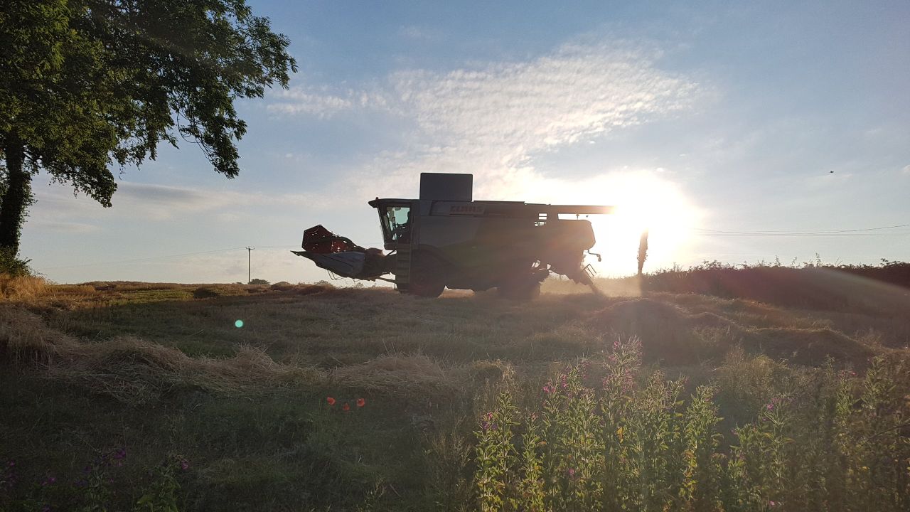 IGGG: Farmers can't tolerate grain handling charges