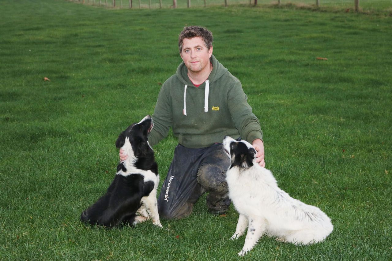 School's out for Kildare pedigree farmer