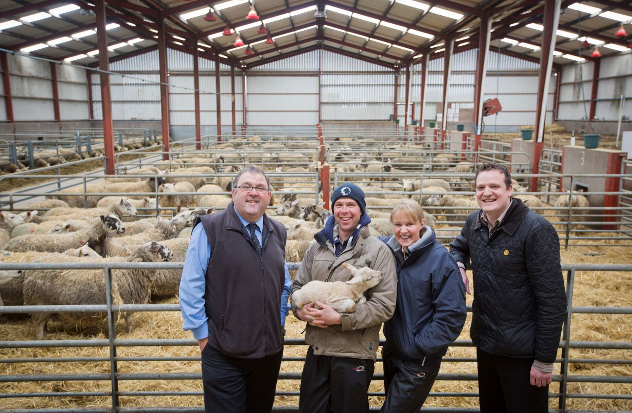 Farmers with spare sheds encouraged to grow turkeys in run-up to Christmas