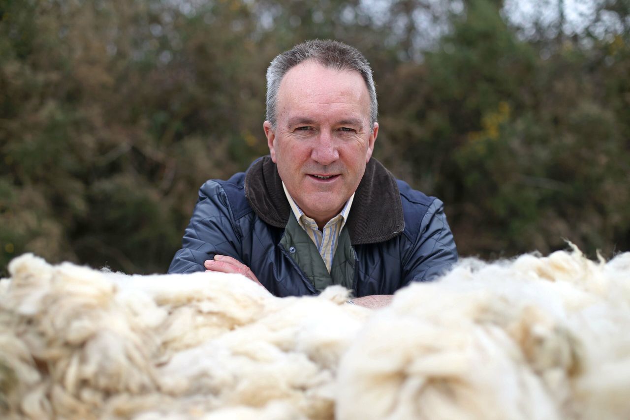NI sheep farmers advised not to store wool over winter