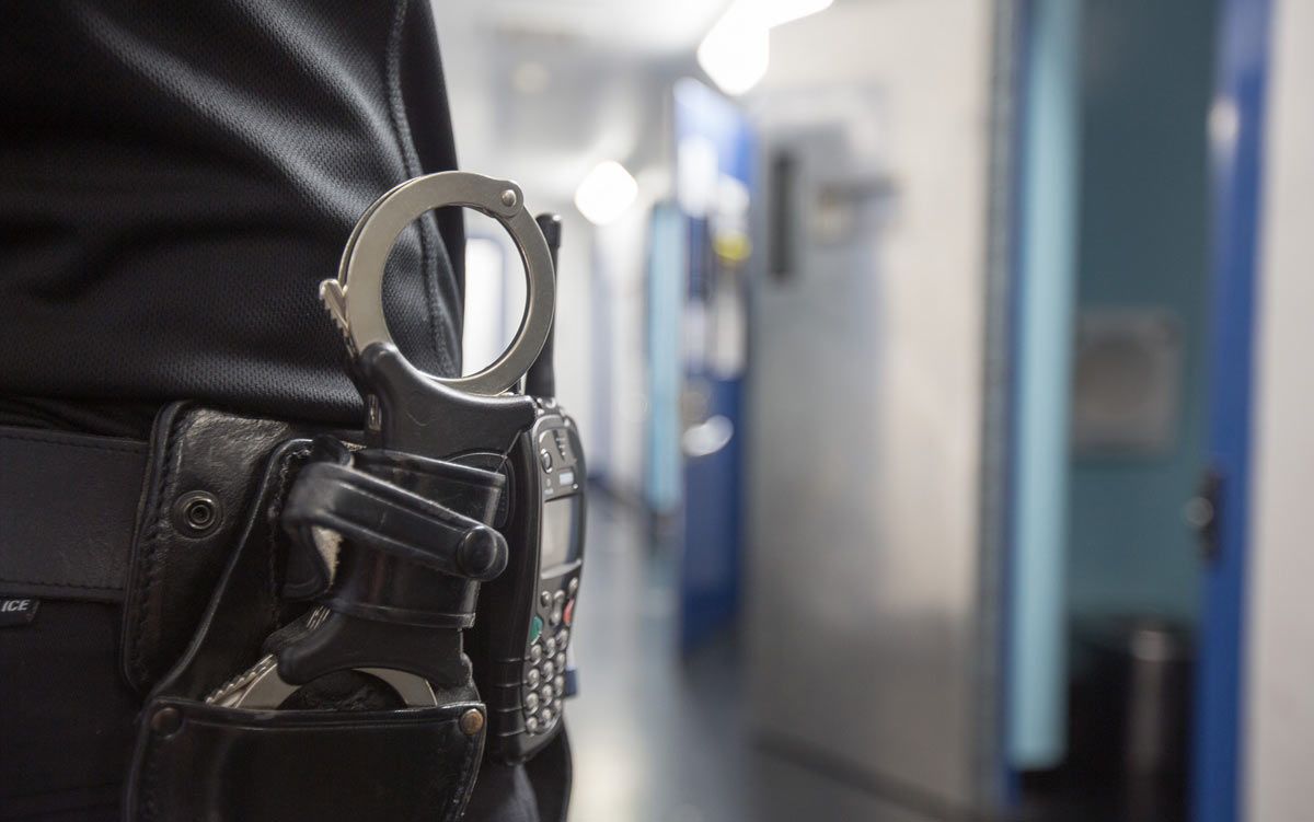 Man arrested after sheep 'believed to have been killed by crossbow'