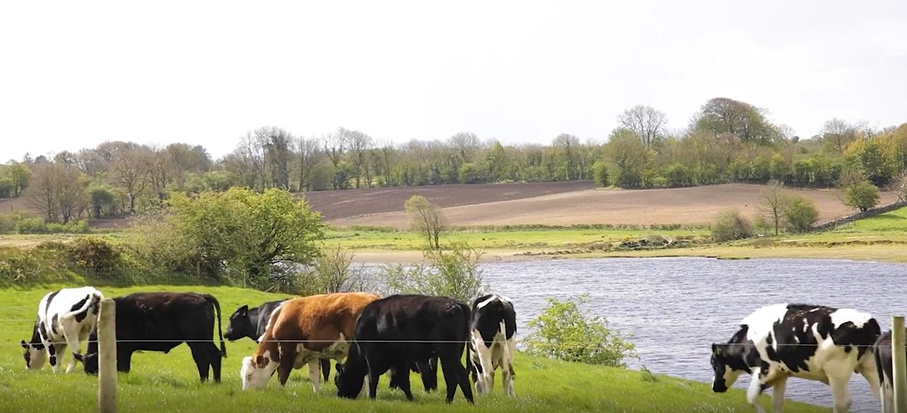 EU climate plan must contain ‘practical solutions’