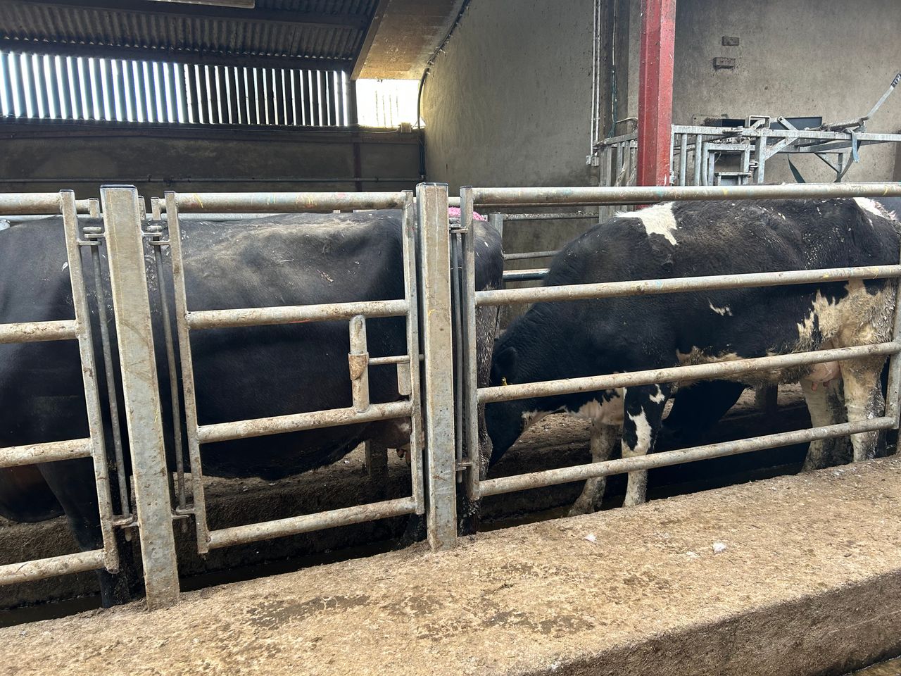 How can farmers reduce the risk of bovine TB on dairy farms?