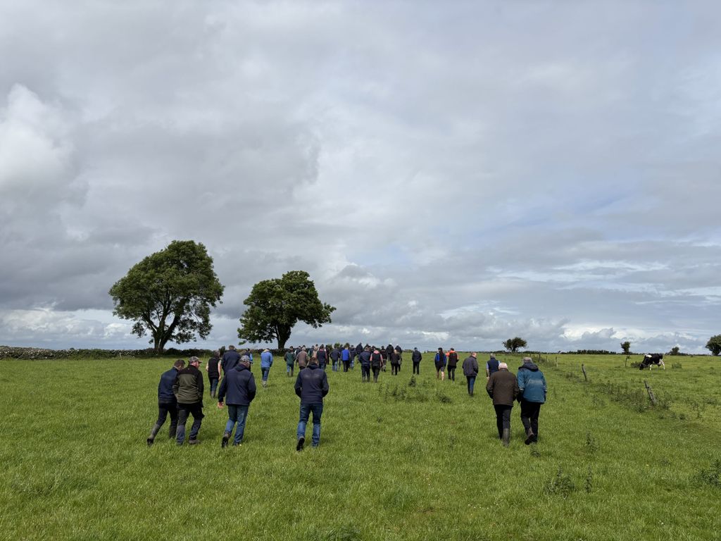 The crowd at the ArraTipp-led farm walk on the Armstrong farm this week
