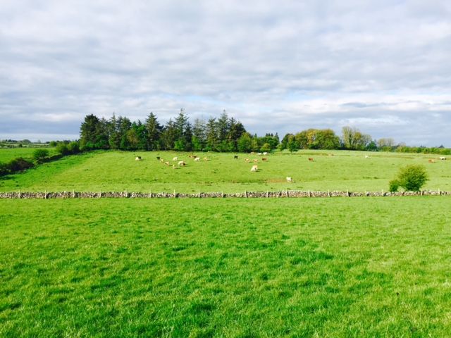 Northern farmers face new compulsory purchase measures