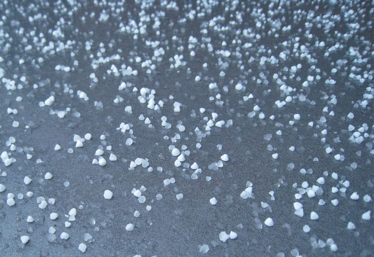 Video: Wexford farmers assess cost of crop damage from hail