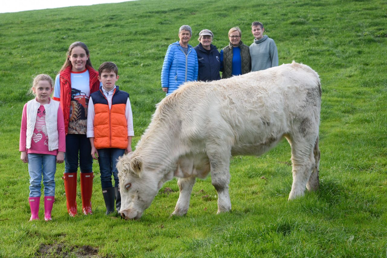 'Charolais' Angels' sell heifer to fundraiser for cancer