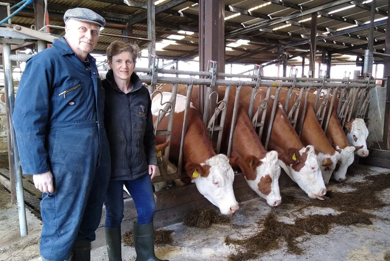 Dairy focus: Milking 60 pedigree Fleckvieh cows in Co. Laois