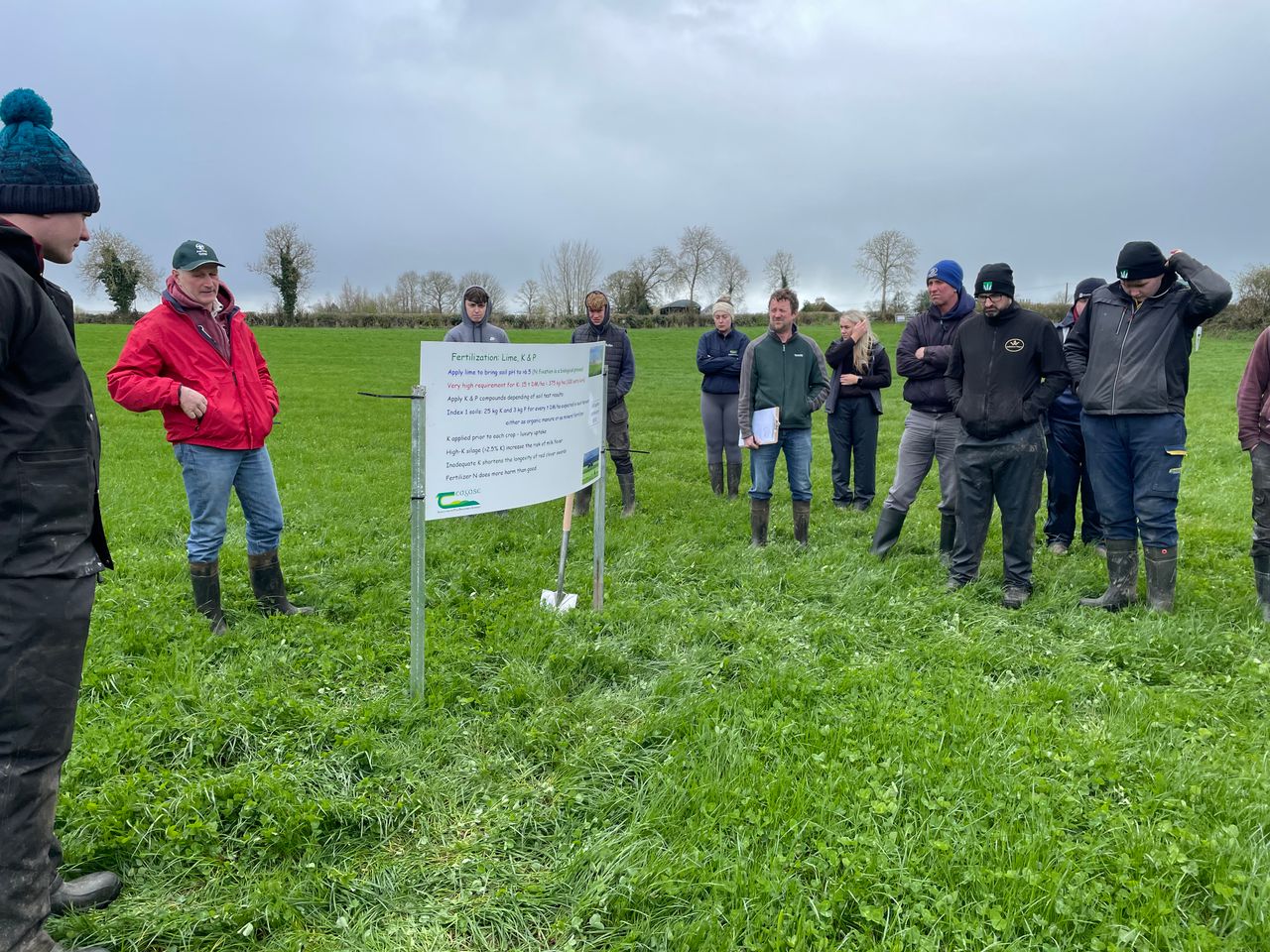 Red clover silage schemes and savings available to farms