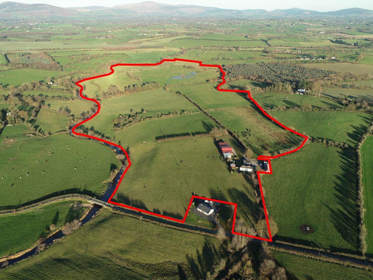 'Very fine' grass farm in one block for sale by public auction in Co. Carlow