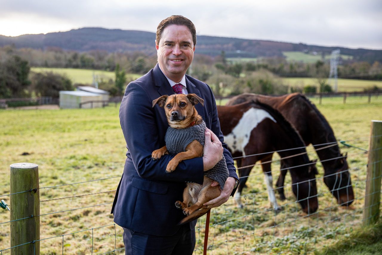 €6.4m announced for 94 animal welfare charities around the country