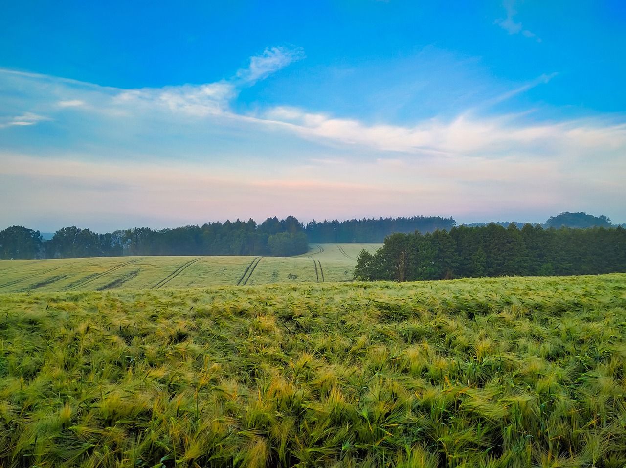 EU approves a further €266m for Polish agriculture