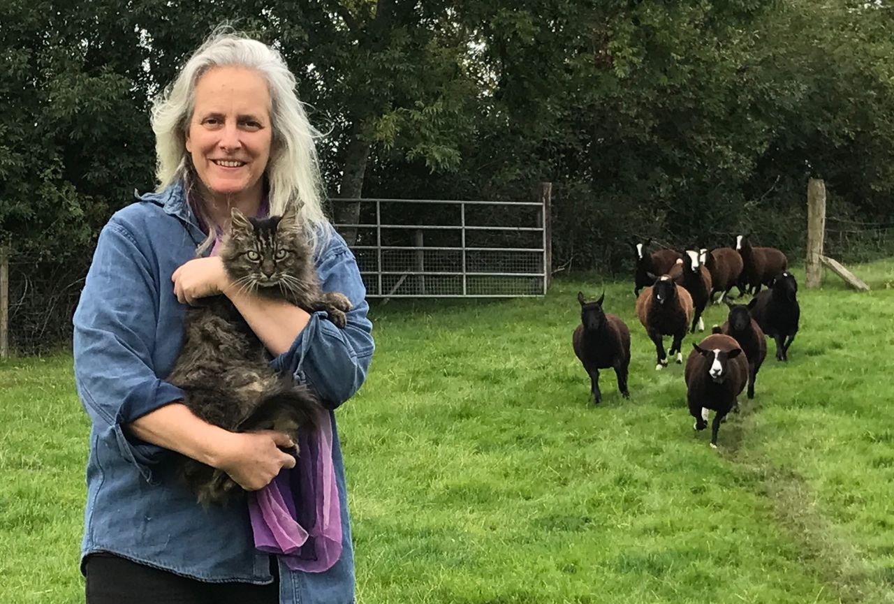 Kilkenny 'shepherd cat' gets the cream - lands owner tasty book deal