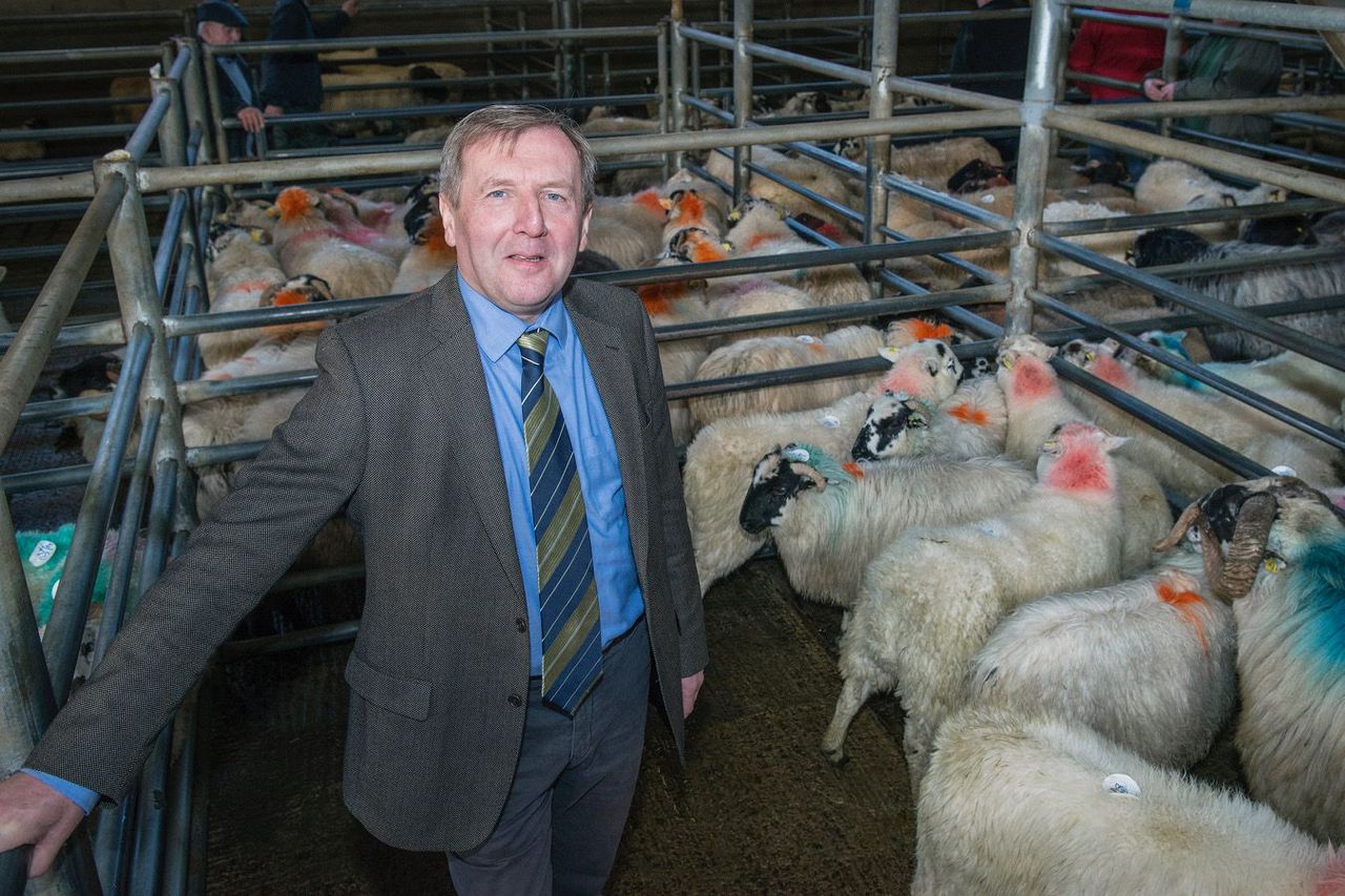 Sheep Welfare Scheme year 3 start date announced