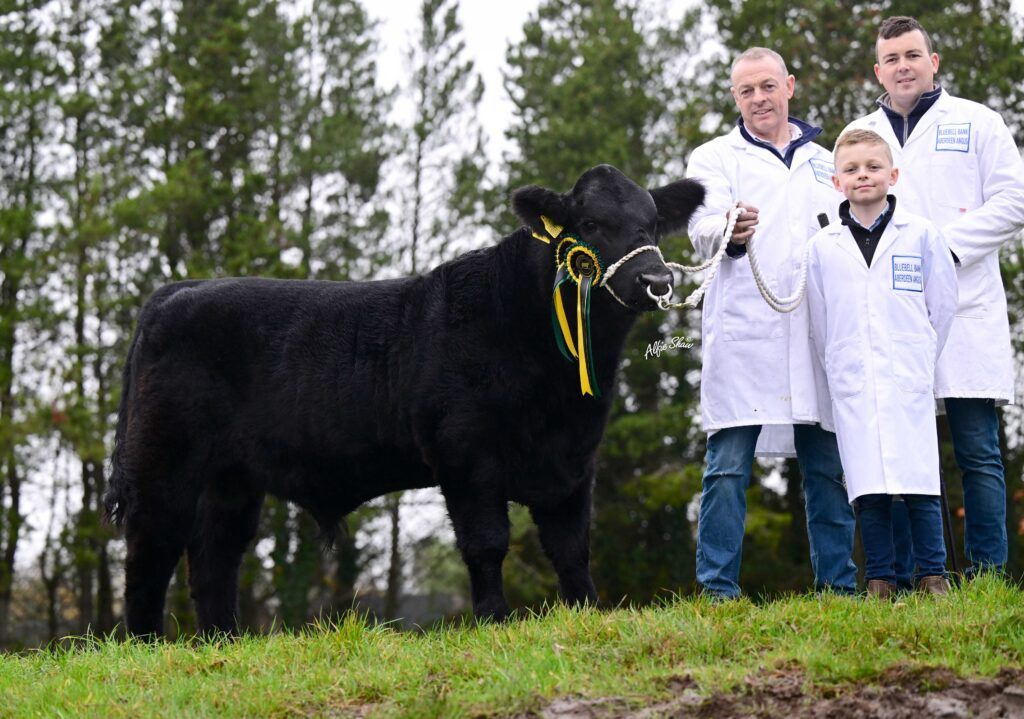 The Dixon family, Moneyreagh, with their reserve bull calf champion Bluebell Bank Black Bentley A612. Source: Alfie Shaw, Agri-Images
