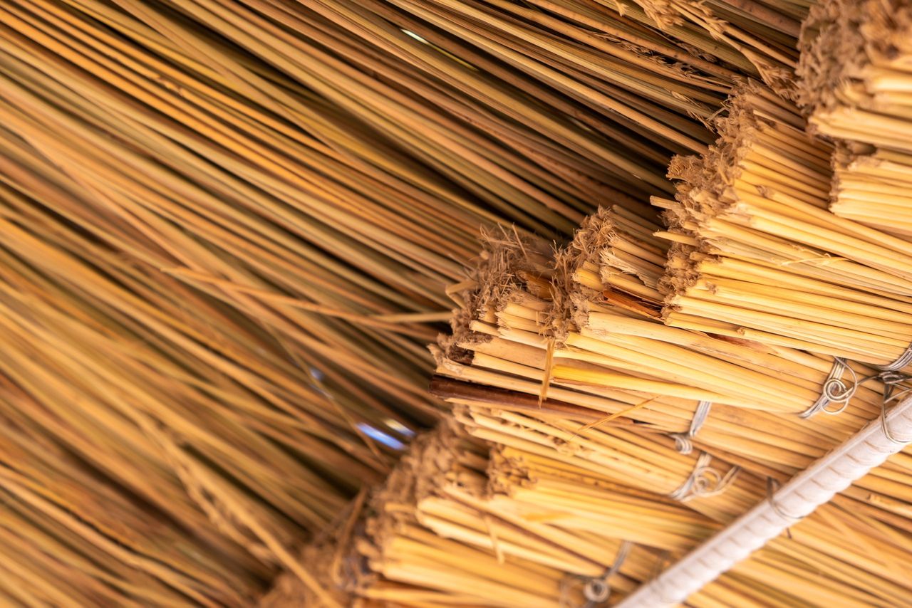 Increase in participants for thatching and drystone walling courses