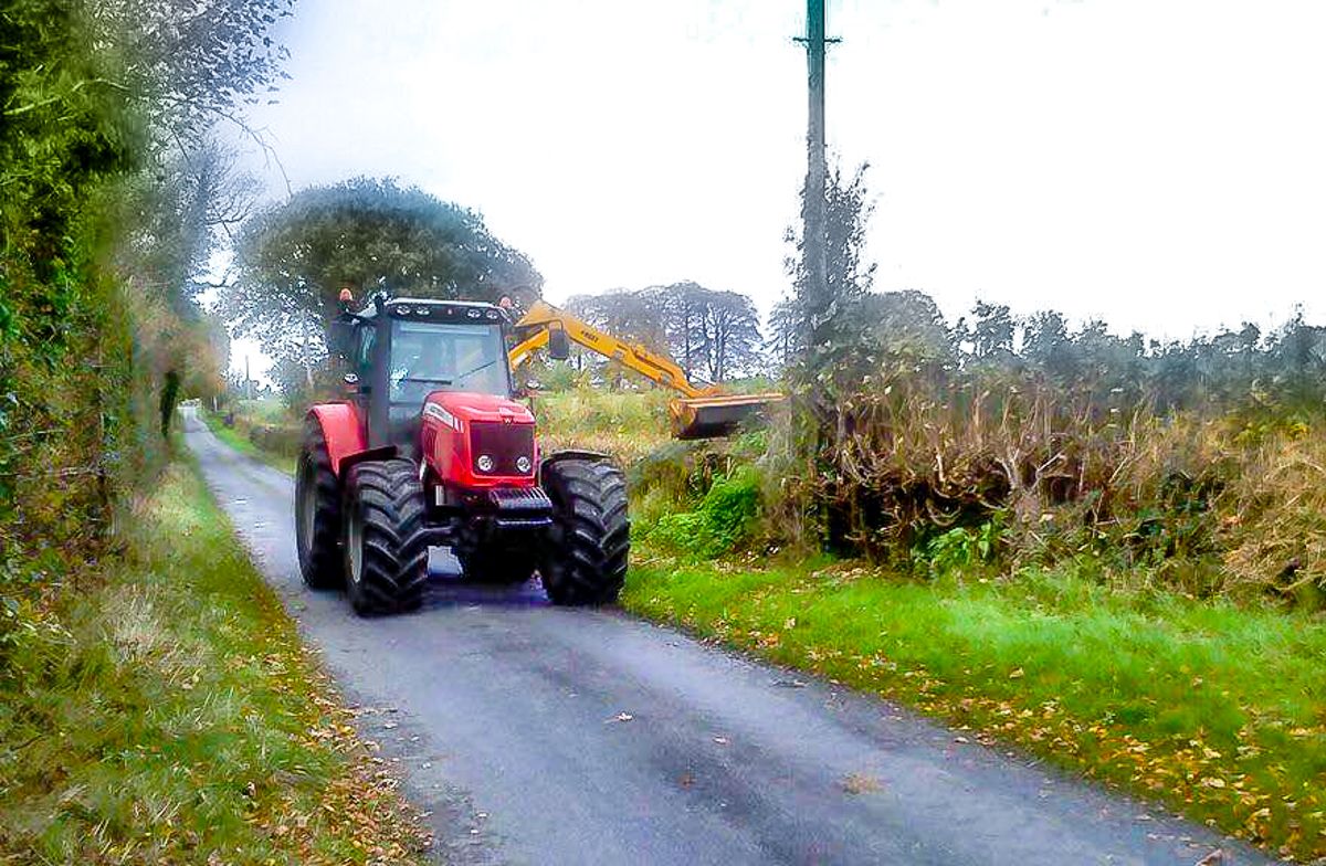 'Significant rural anger' at hedge-cutting proposal scrapping