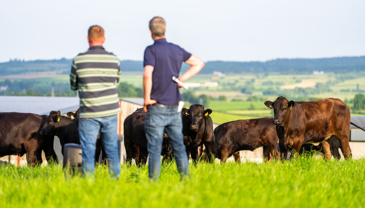 130-cow Donegal dairy farmer wins beef factory quality award