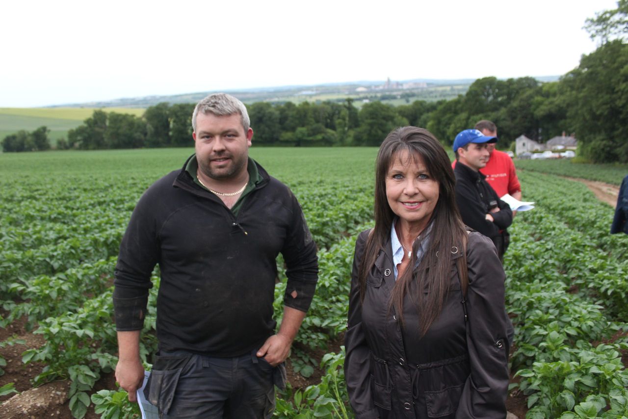 Threat of fungicide resistance within Irish blight populations remains