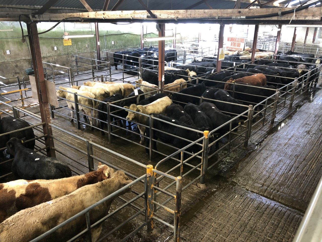 Headford and Castlerea Marts the latest to postpone sales