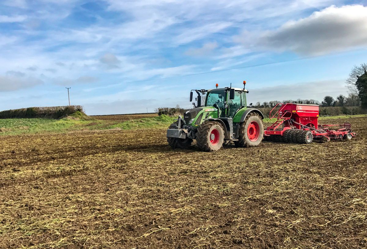 Sowing spring beans? Here are a few tips