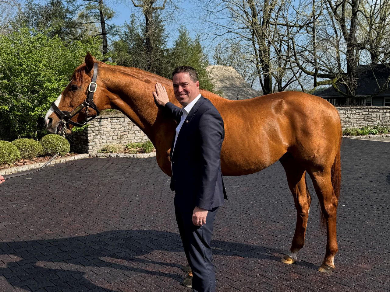 Minister launches new booklet on horse traceability