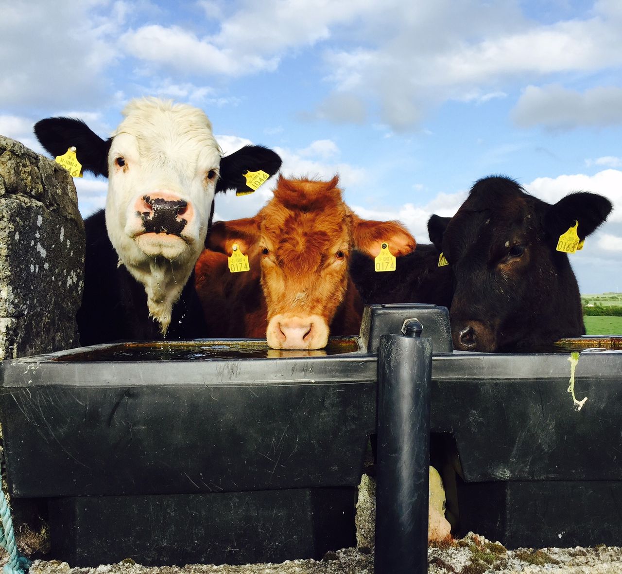 Showers for the week, improvement towards the weekend - Met Eireann