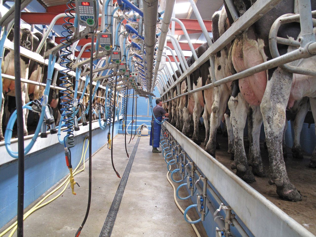 Milk Price Tracker: Negative trend continues for May supplies