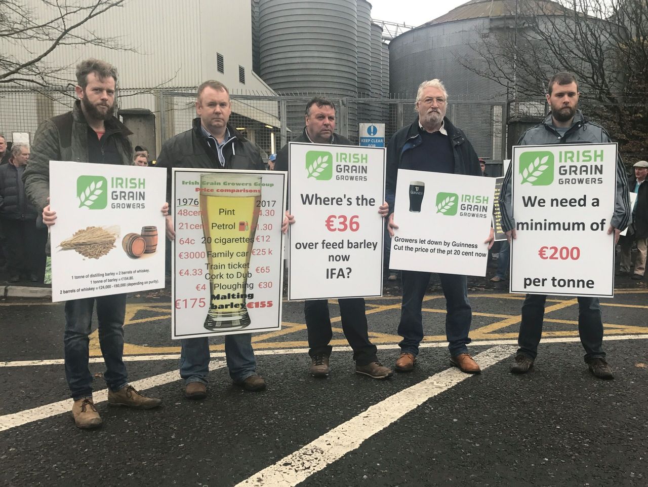 Grain growers frustrated at malting price that 'doesn't cut the mustard'